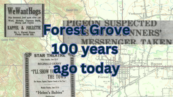 1925 in Forest Grove: A visiting pigeon is suspected as rum runner accomplice