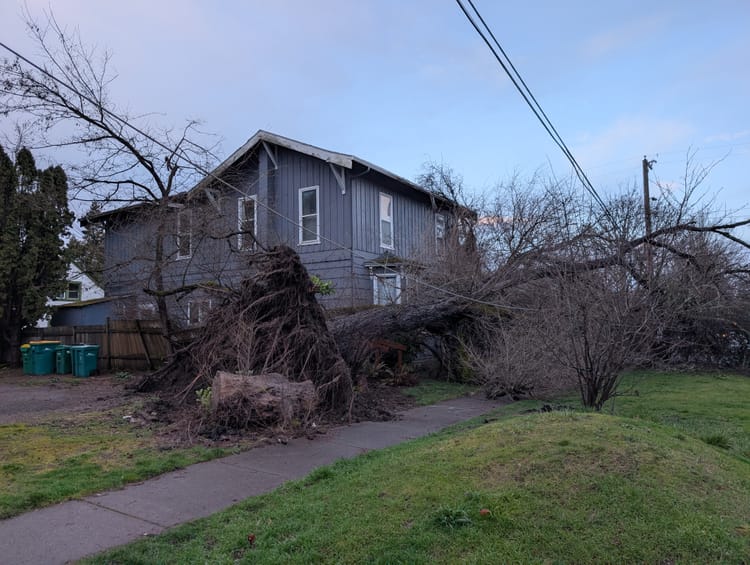 Windstorm knocks down trees, damages Forest Grove homes, businesses